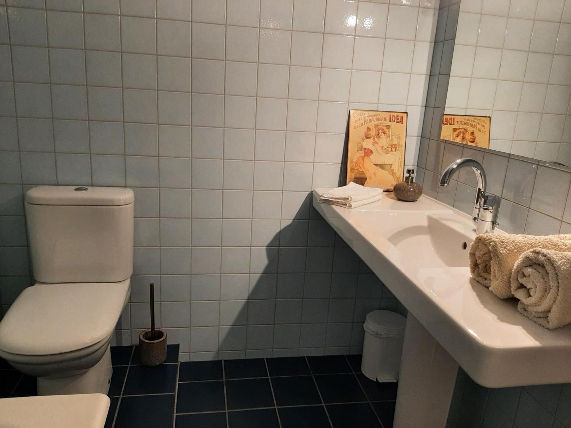 Chambre D'Hotes Charme Et Nature Vieille-Brioude エクステリア 写真